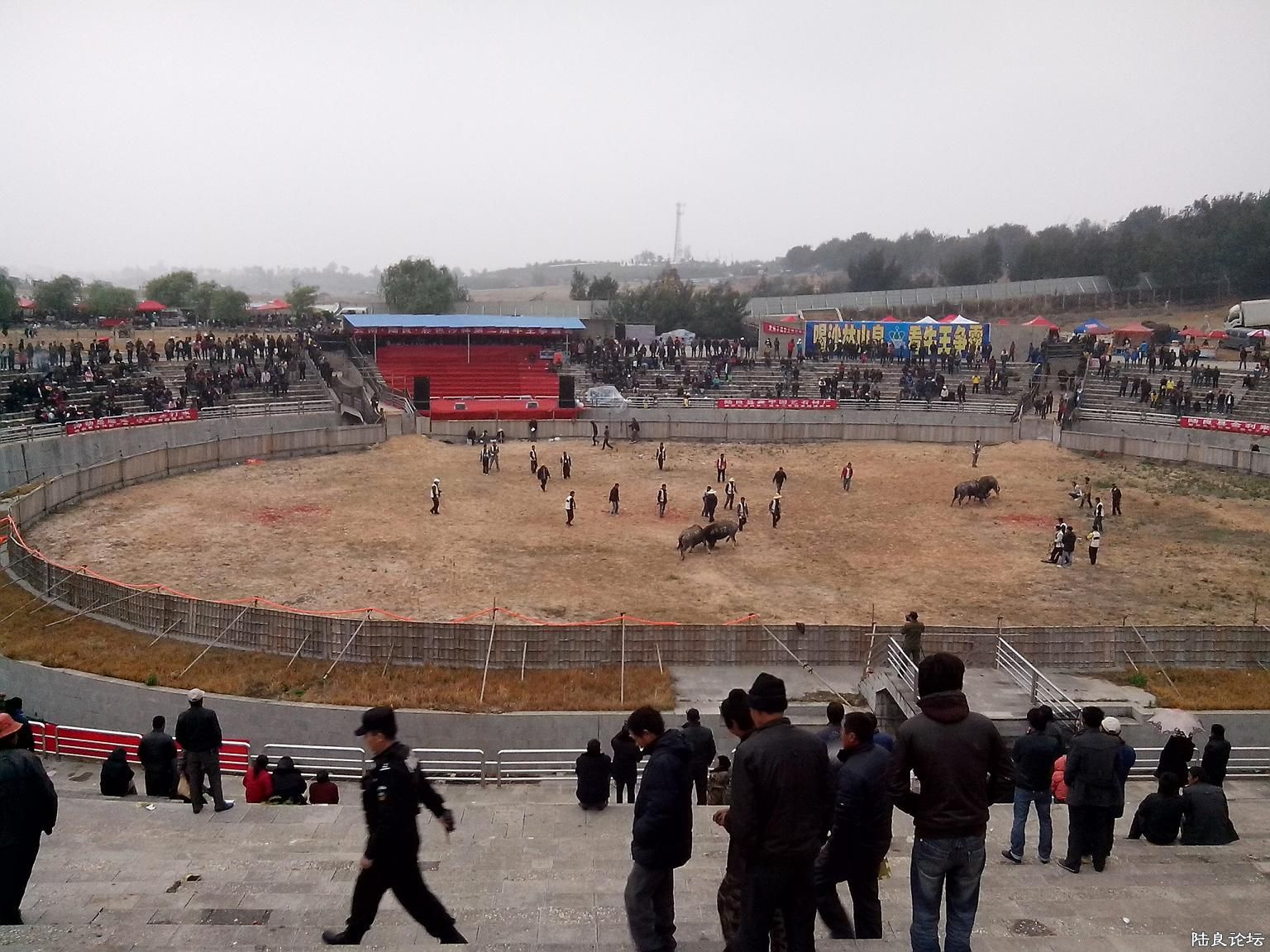 IMG_20130412_170509.jpg