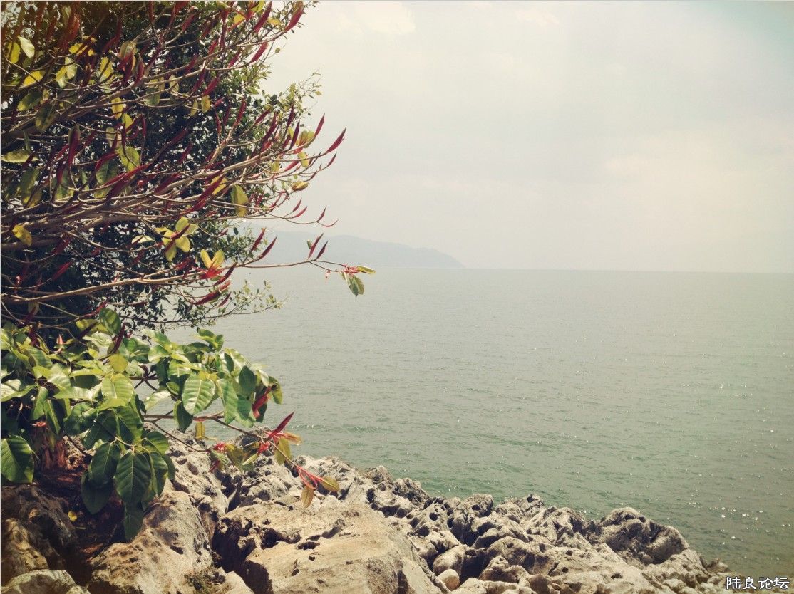 QQͼ20130417094054.jpg