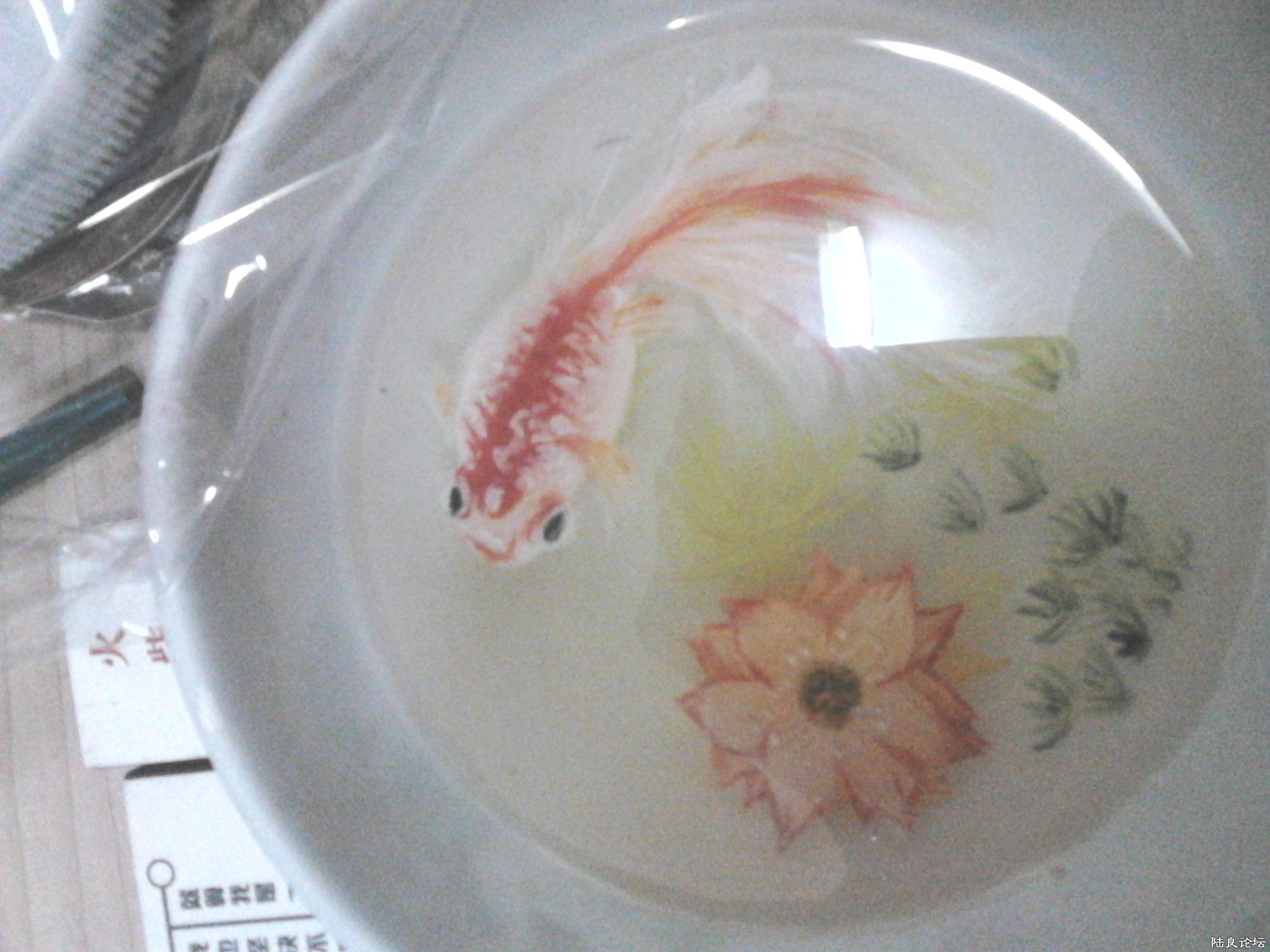 2013-05-02_21-09-59_534042_org-8.jpg