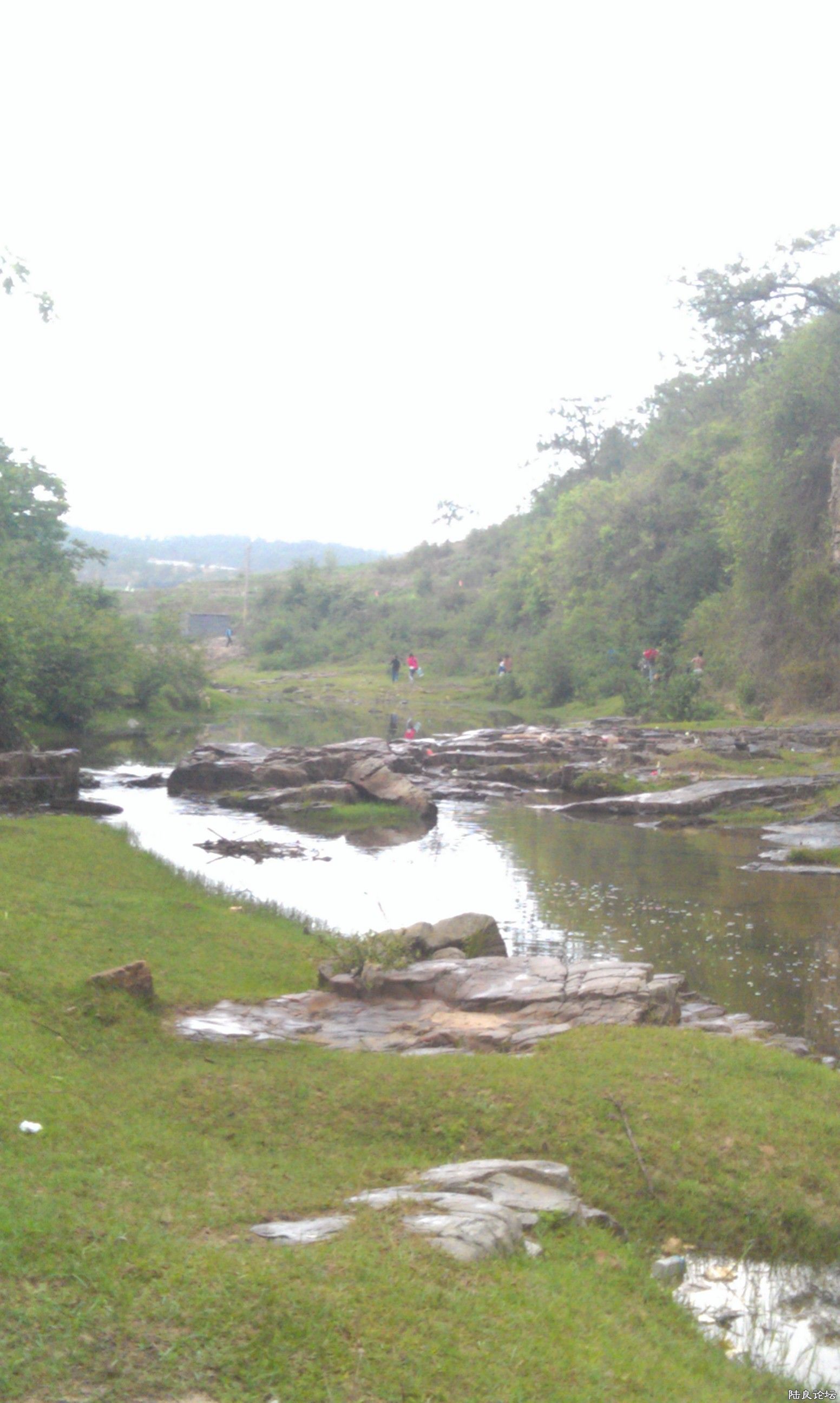 IMAG0077.jpg
