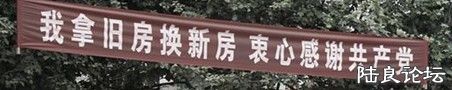 δ3.jpg