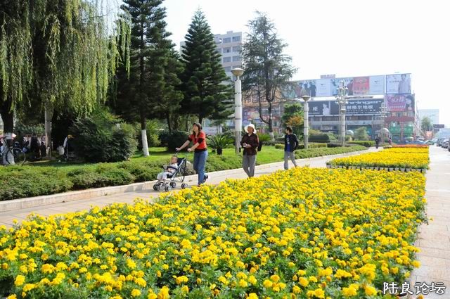 С DSC_2221.JPG
