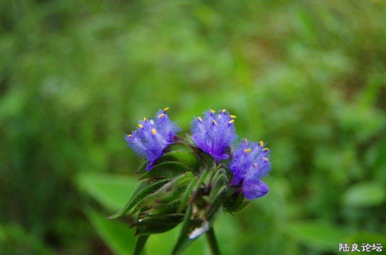 QQͼ20130802071036.jpg
