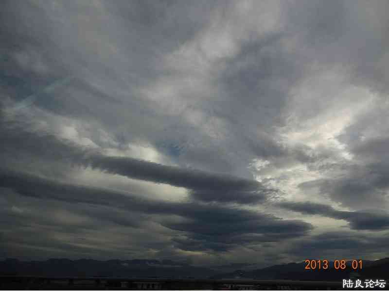 DSC03650(001).jpg