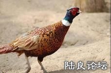 u=1384383326,1886095795&fm=21&gp=0.jpg