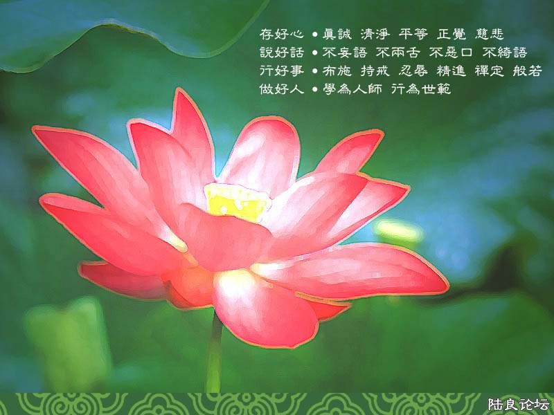 2004101412145261.jpg