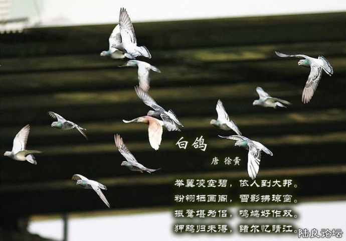 70.jpg