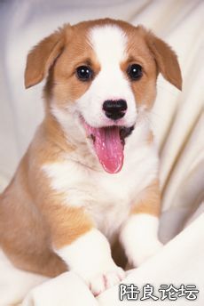 2e2eb9389b504fc259cf7d4be4dde71191ef6de8.jpg 2e2eb9389b504fc259cf7d4be4dde71191ef6de8.jpg