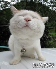 3b87e950352ac65c8d2b90b9fbf2b21192138aca.jpg 3b87e950352ac65c8d2b90b9fbf2b21192138aca.jpg