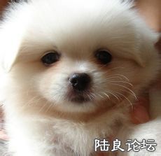 79f0f736afc3793199d7d67deac4b74543a91122.jpg 79f0f736afc3793199d7d67deac4b74543a91122.jpg