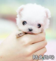 738b4710b912c8fcf9624c65fc039245d7882180.jpg 738b4710b912c8fcf9624c65fc039245d7882180.jpg