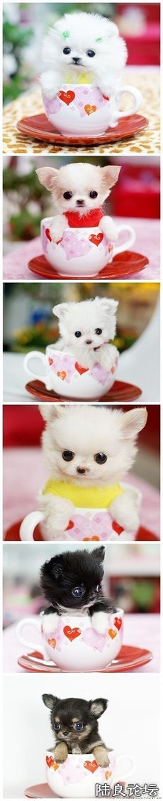 dbb44aed2e738bd40626dc20a08b87d6277ff998.jpg dbb44aed2e738bd40626dc20a08b87d6277ff998.jpg