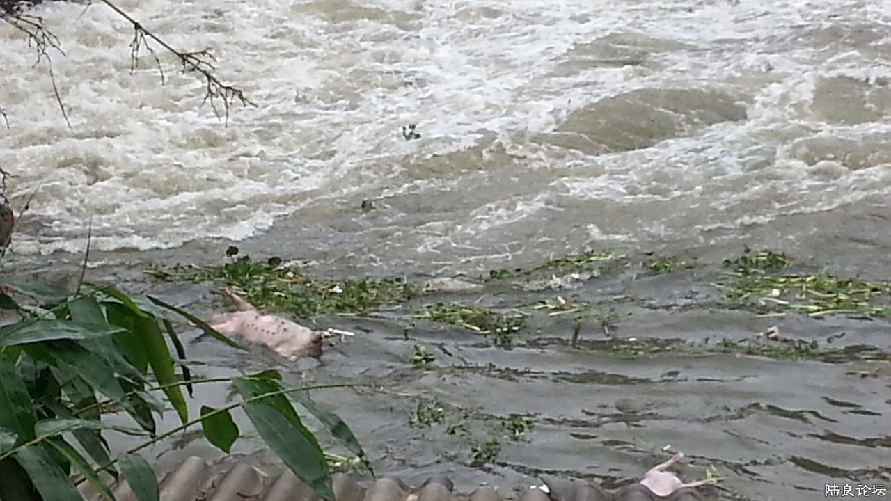 20130831_123630.jpg