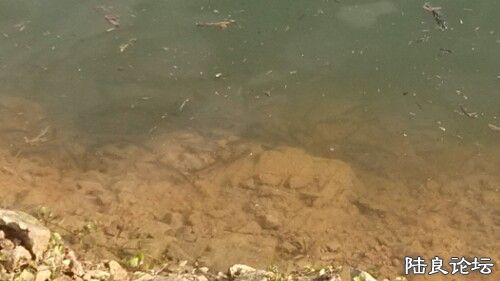 IMG20130921221313.jpg