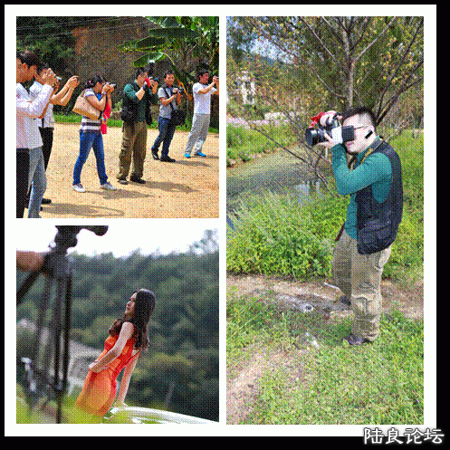 image008.gif