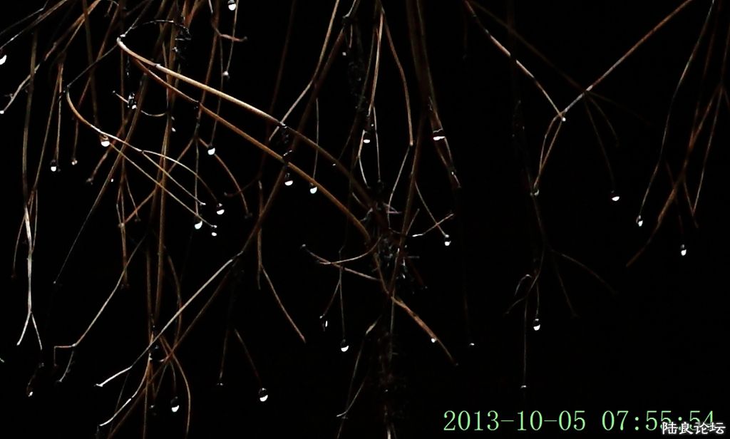 簲½ (21).jpg