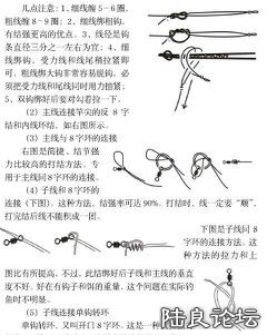 IMG20131028105620.jpg