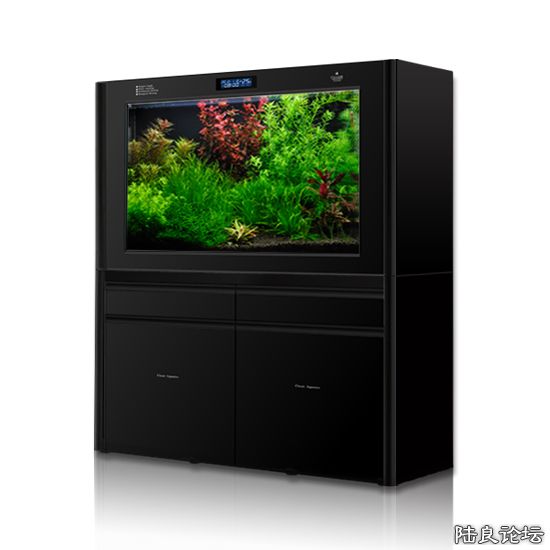20120815092105986.jpg