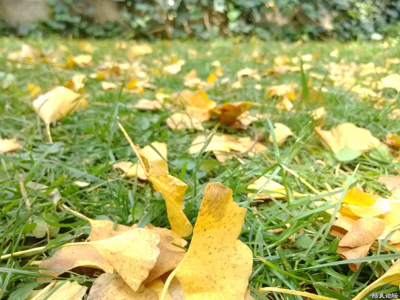 IMG_20131110_142415.jpg