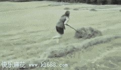 900363_d1b425ed6608f31138b72c8e25f125e8_1373507219.gif