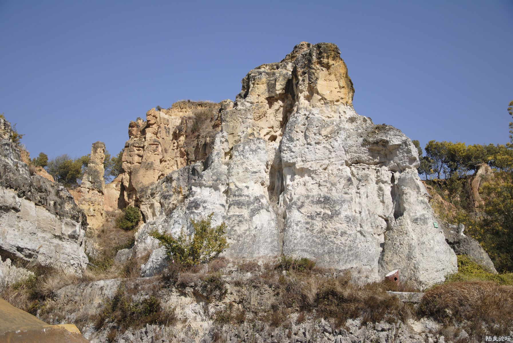 _DSC0087_.jpg