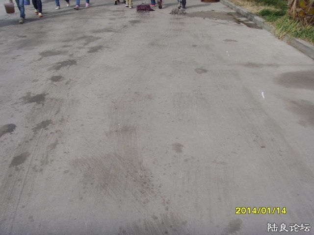 SNV30015.JPG