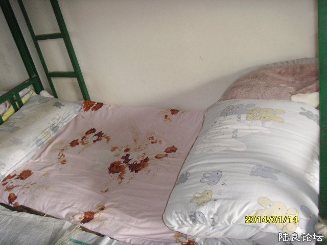 SNV30067.JPG