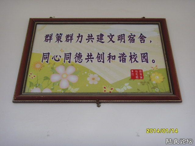 SNV30078.JPG