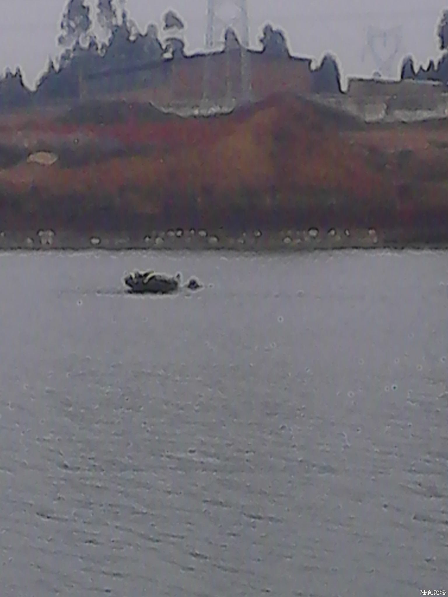 2013.11.29Ҷᷭն6ңǴˮ