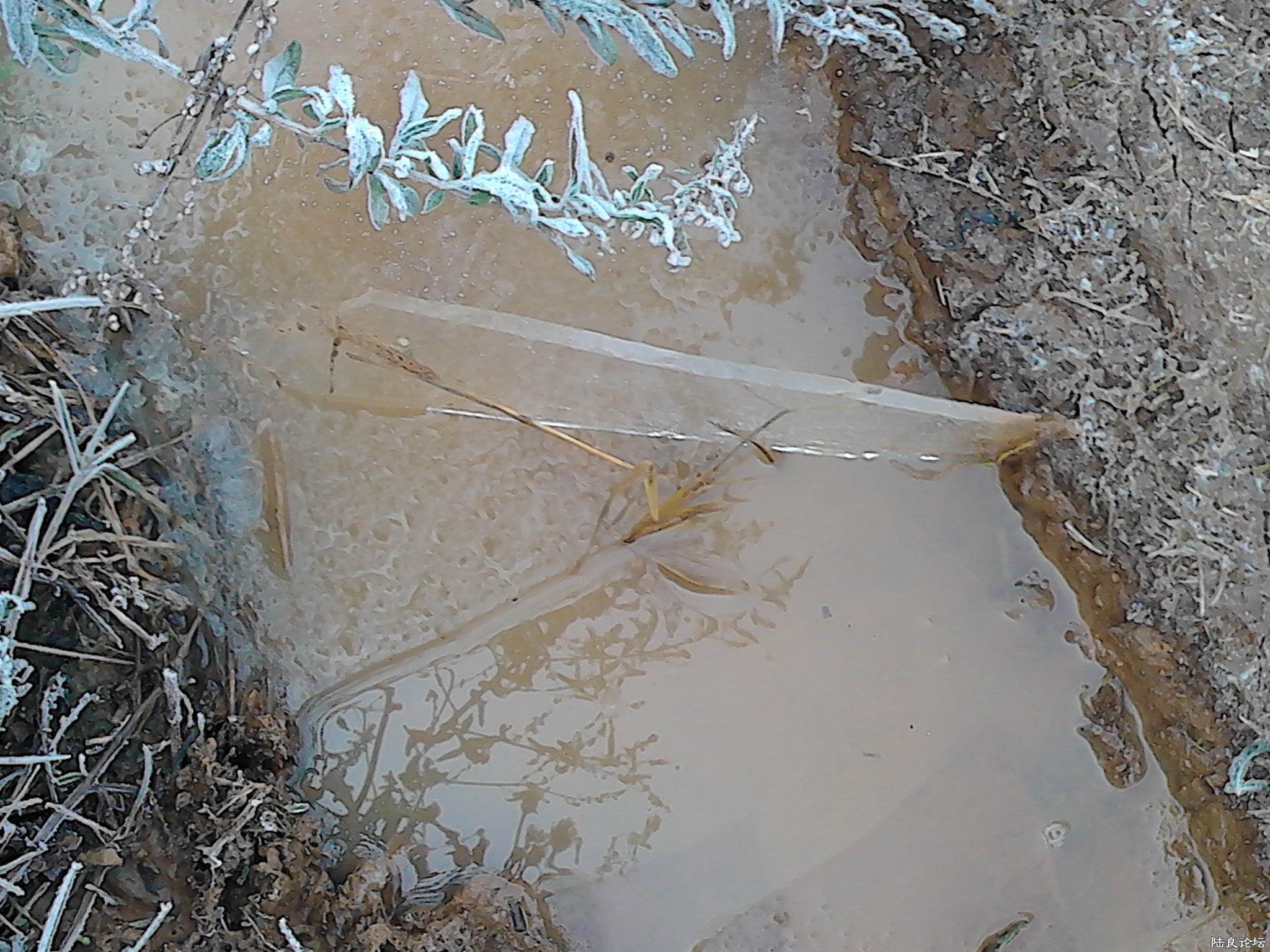 12.17һѩˮС·ϣˮﻹ1ֺı