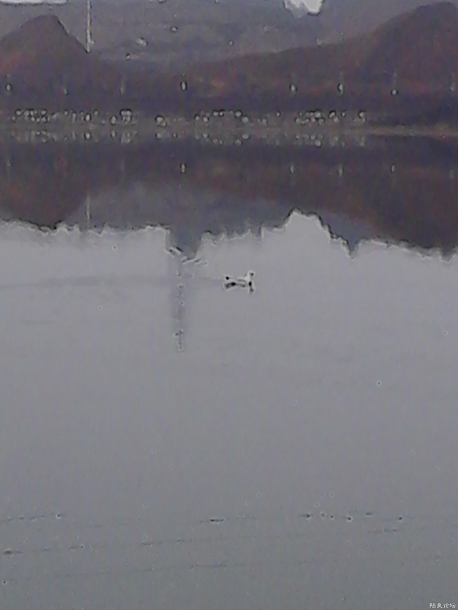 һڴˮ⿴ŸӦͷӣϷˮСʱ뿪֮Ǵ