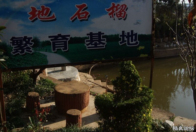 QQͼƬ20140225163507.jpg