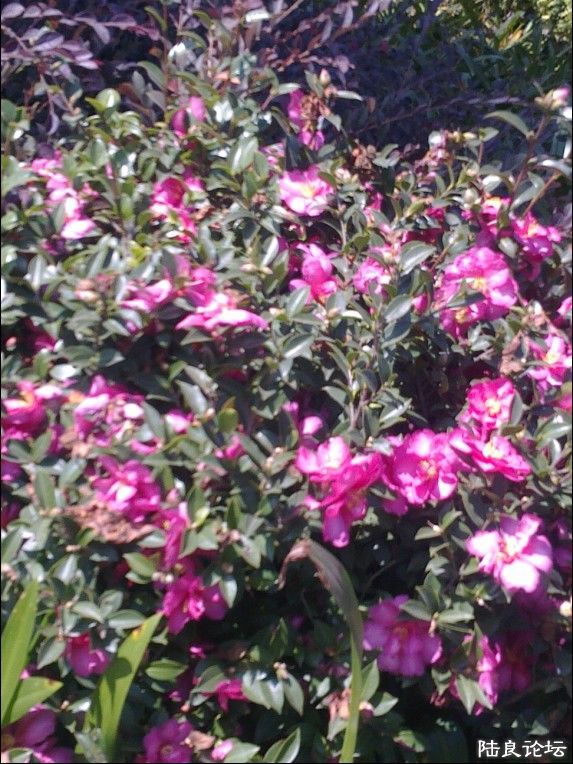 QQͼƬ20140402103511.jpg