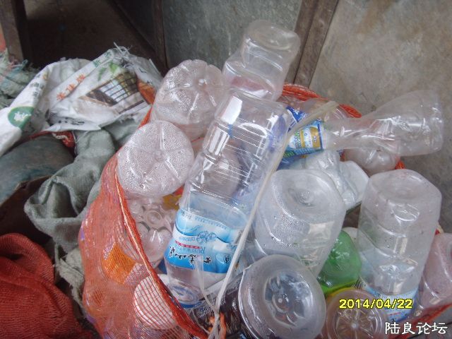 SNV30609.JPG