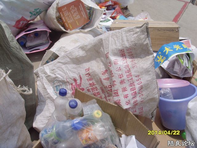 SNV30588.JPG