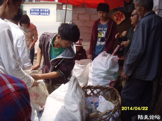 SNV30612.JPG