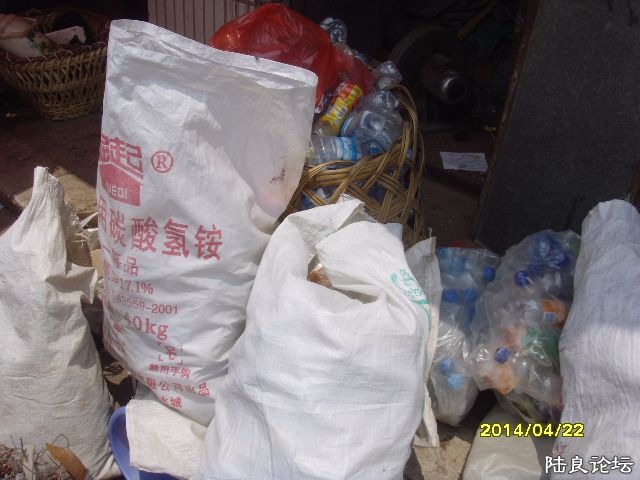 SNV30618.JPG