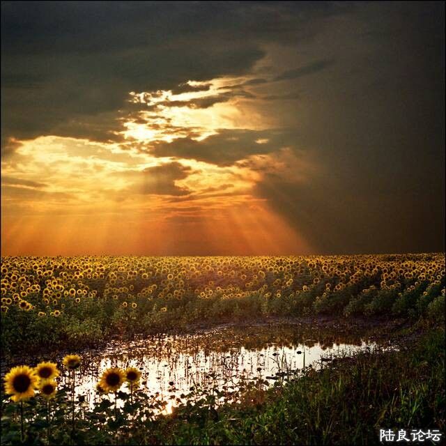 QQͼƬ20140321212128.jpg