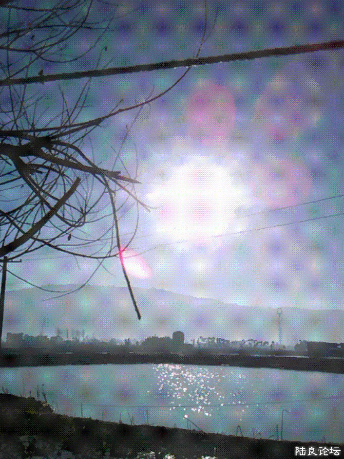 3.gif