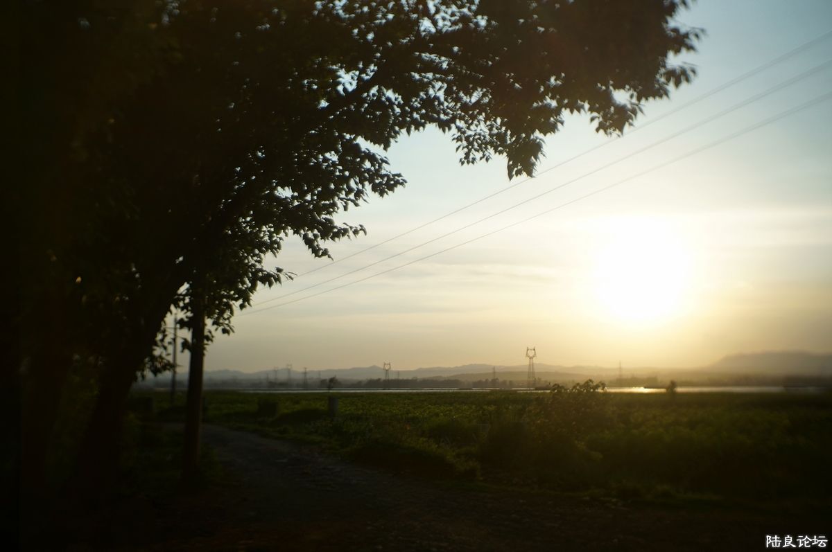 DSC05762.jpg