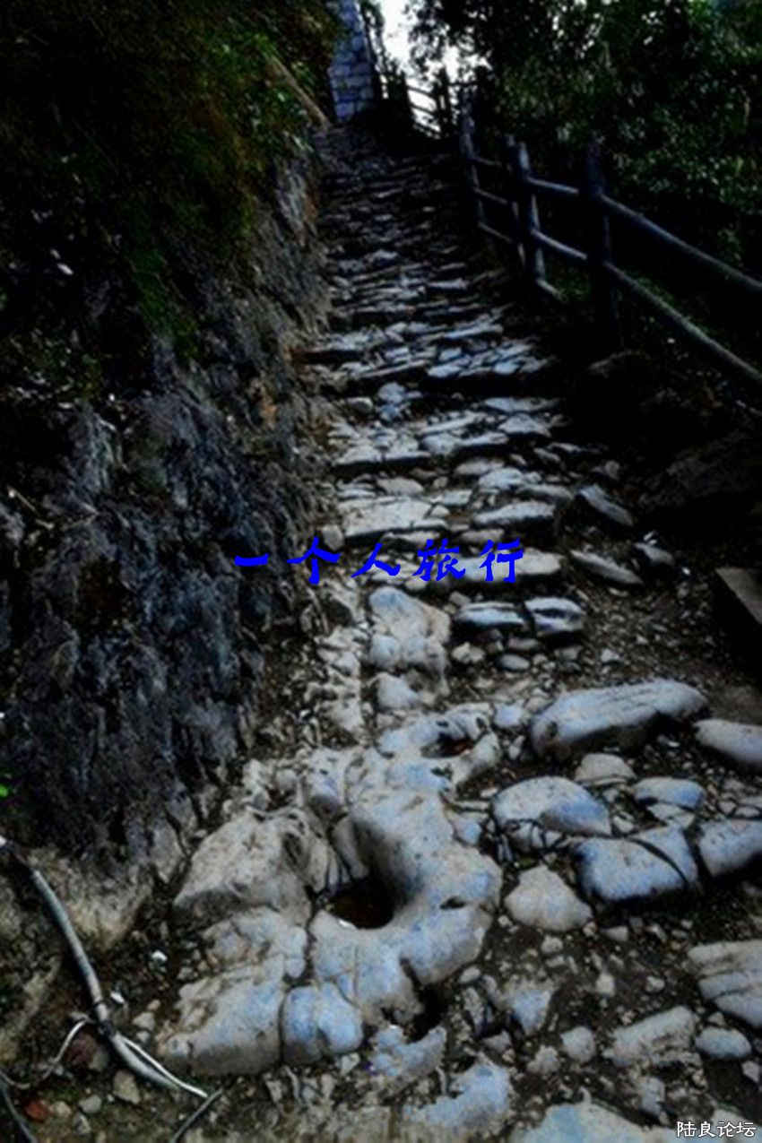 mjk2014071108.jpg