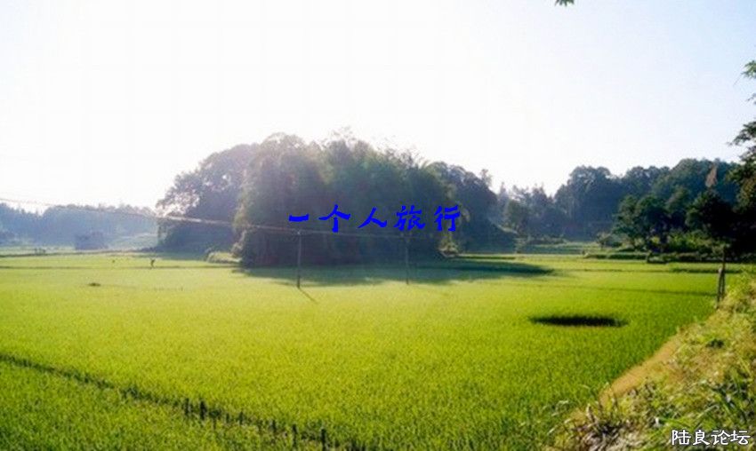 mjk2014071112.jpg