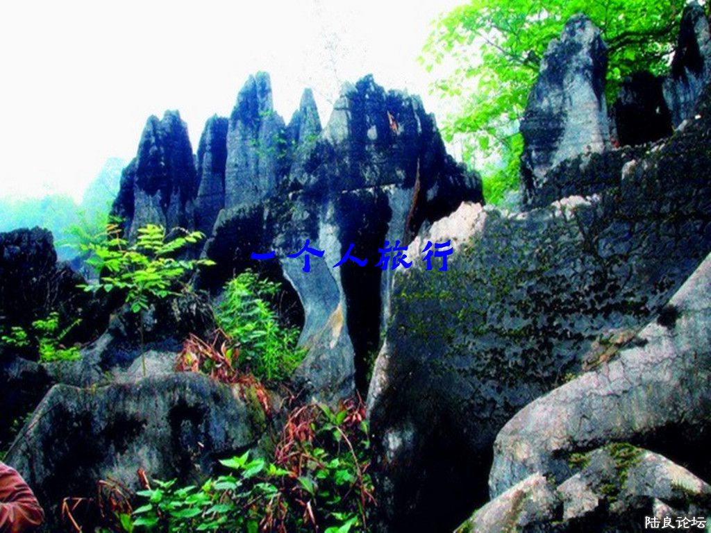 mjk2014071115.jpg