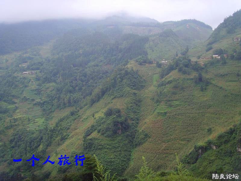 mjk2014071213.jpg