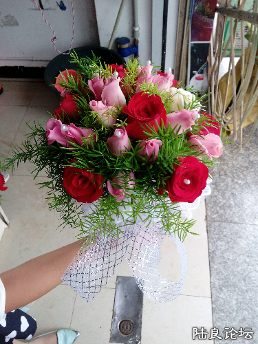 IMG_20140712_094845.jpg