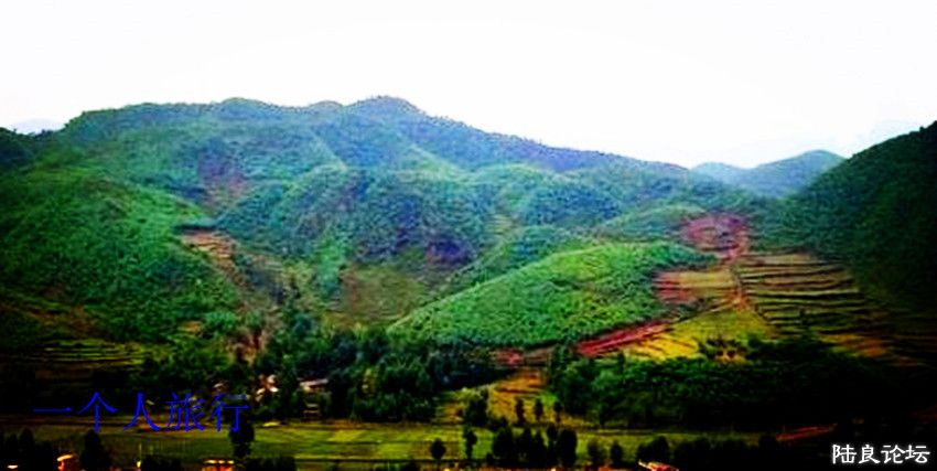 mjk2014072501.jpg