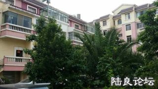 IMG_0468.jpg