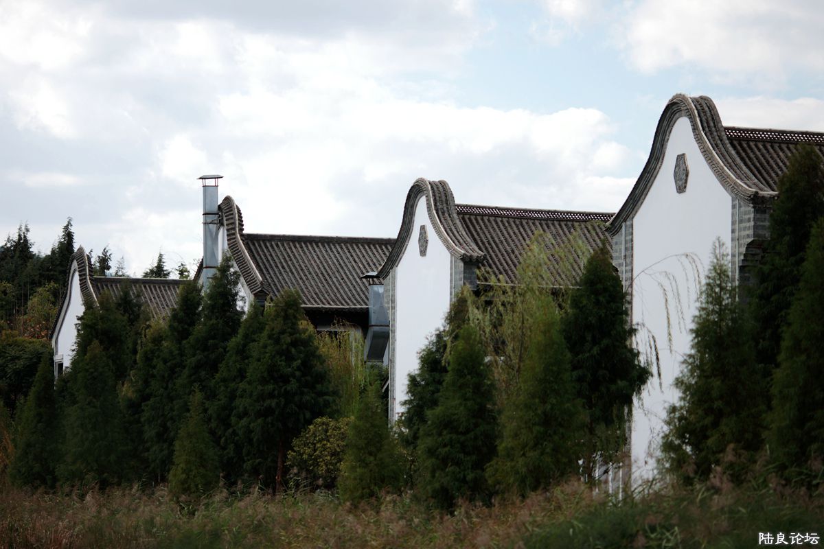 03.jpg