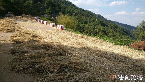 1430521461764.jpeg