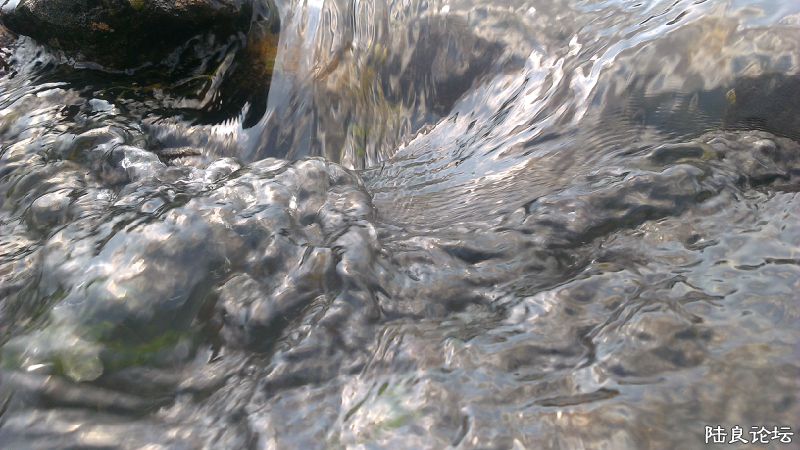 IMAG0977.jpg